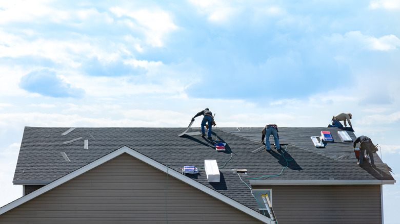 roofers fixing shingles