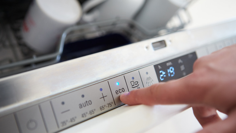 eco dishwasher setting