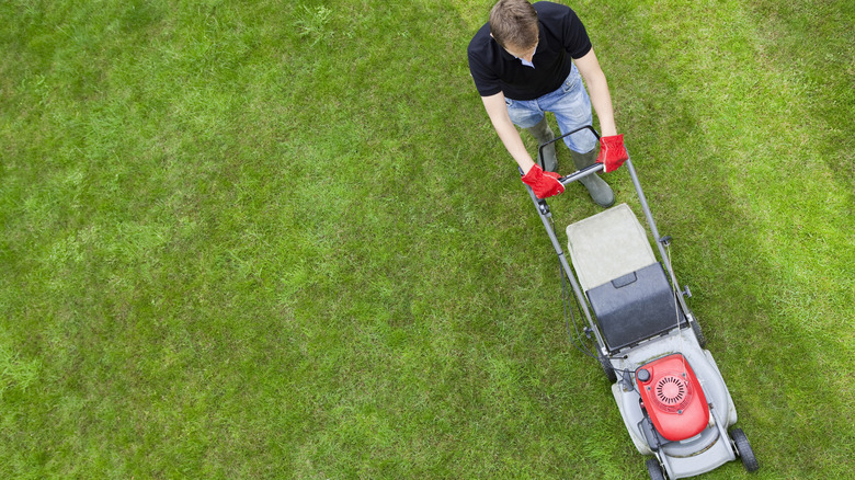 man mowing lawn