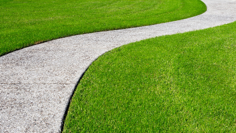 path through zoysia grass lawn