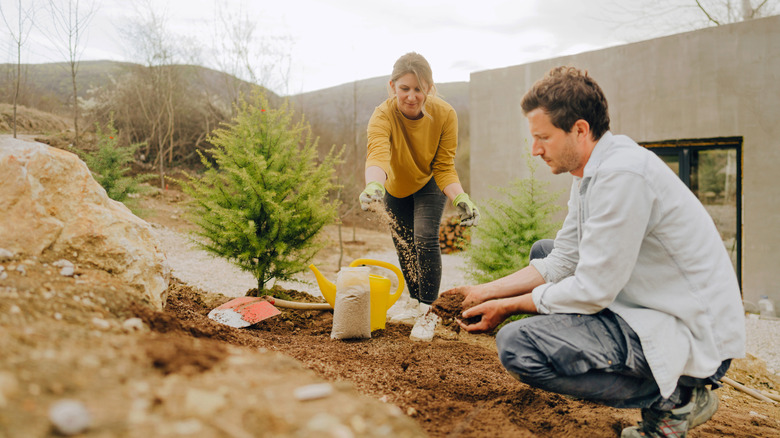 gardeners sowing grass seed