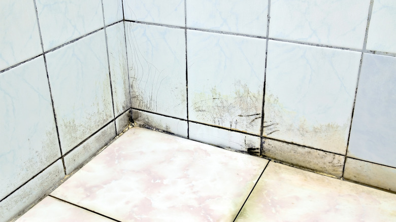 Moldy and mildewy shower floor