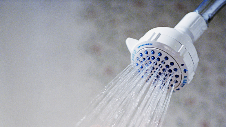 Closeup of water coming out of showerhead