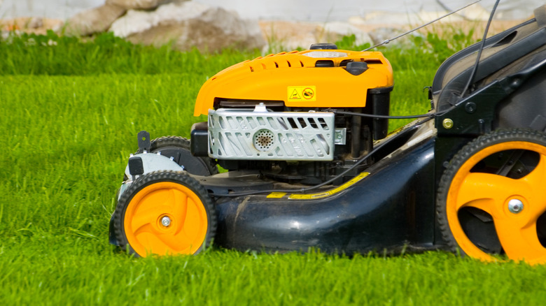 person mowing lawn