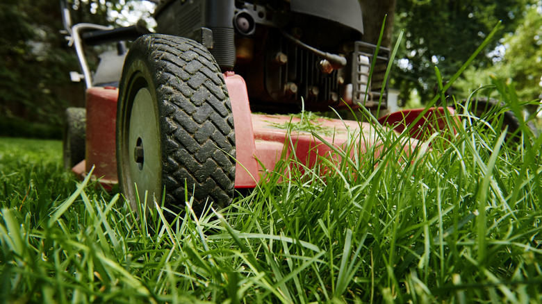 red mower cutting long grass