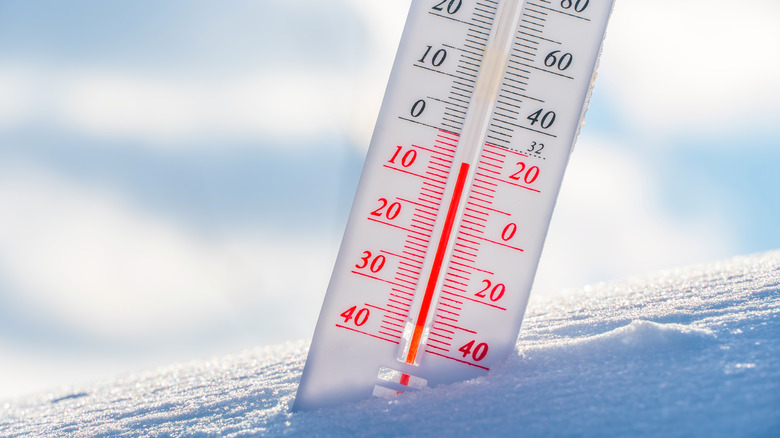 a thermometer in the snow