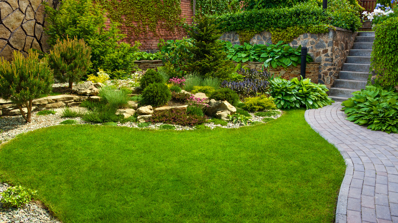 Landscaped garden and yard