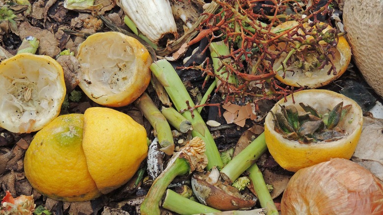 lemon peels in compost pile