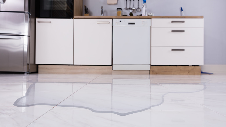 flood in kitchen from dishwasher