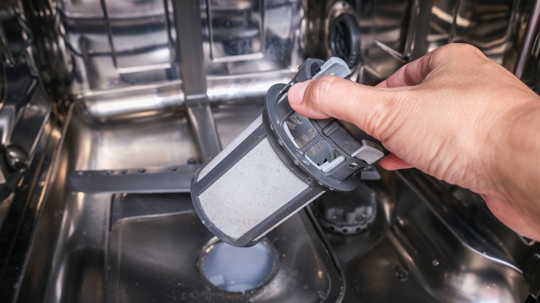 person checks the dishwasher filter