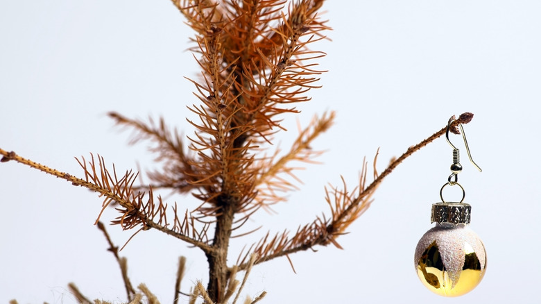 dry christmas tree with ornament