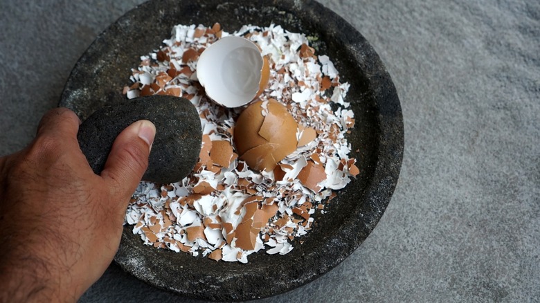 crushing eggshells with mortar and pestle