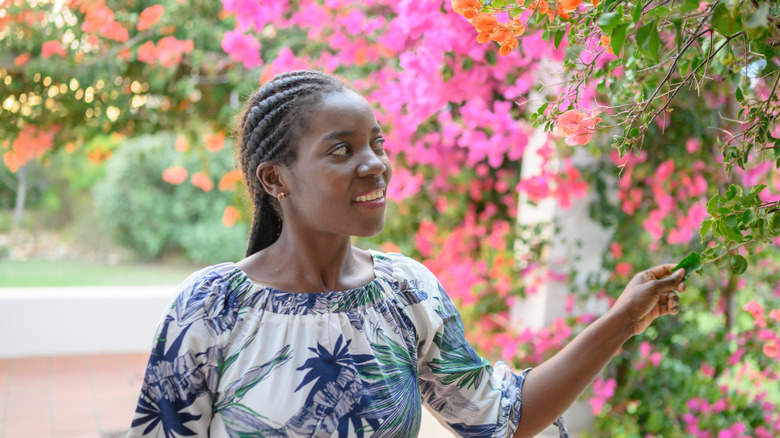 bougainvillea in garden