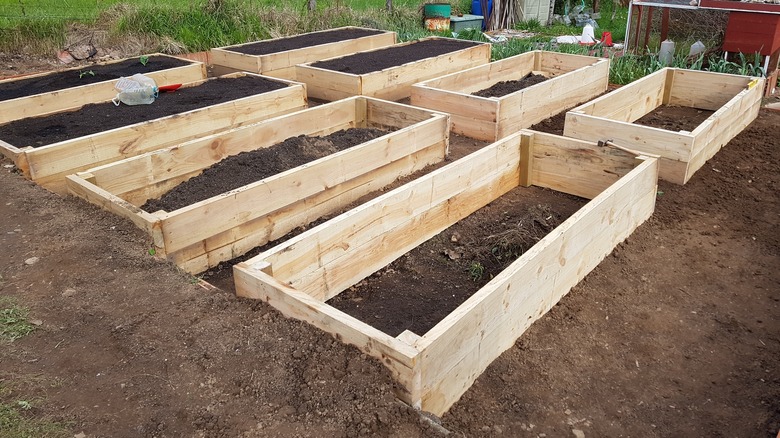 Wooden raised beds