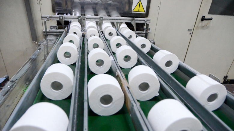 Rolls of toilet paper on a factory conveyor belt