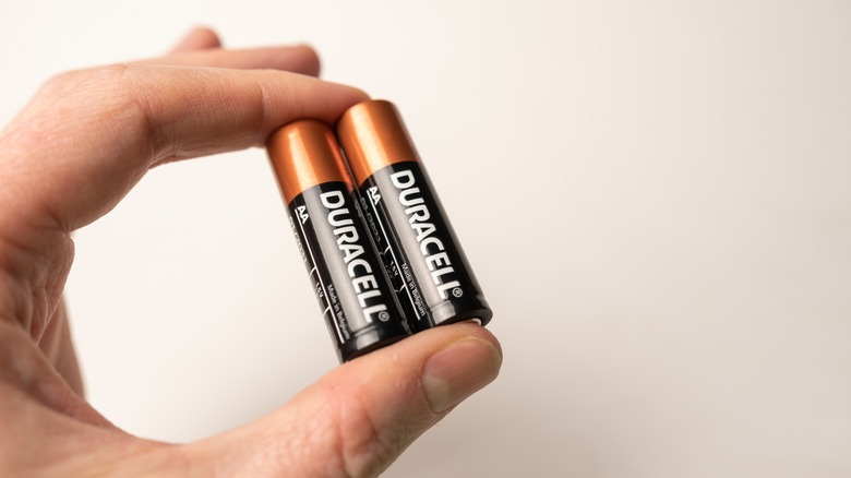 person holding two Duracell batteries