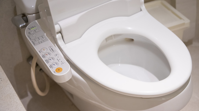 Electronic Japanese toilet