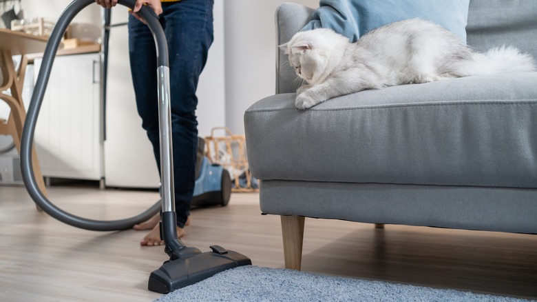 person vacuuming area rug 