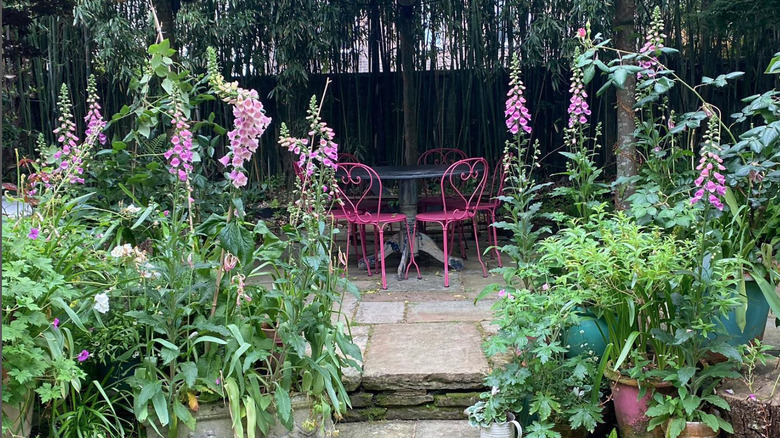 Nigella Lawson's home kitchen 