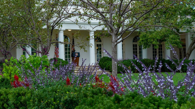 White House Rose Garden 