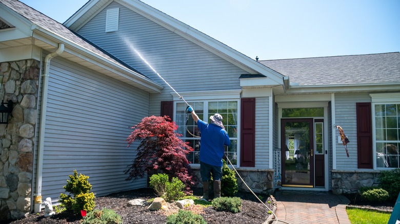 pressure washing wasps