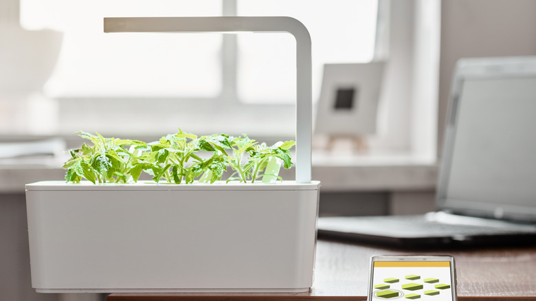 smart garden on countertop