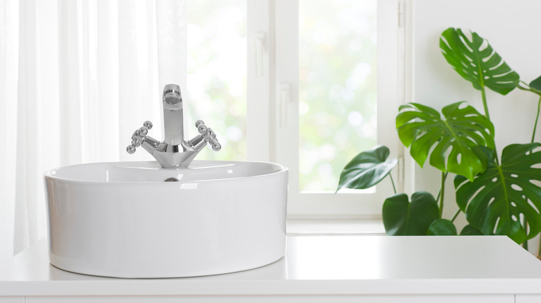 white bathroom with plant