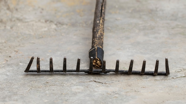 Old metal garden rake