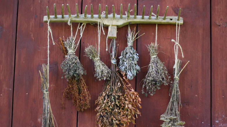 dried flowers hanging from rake