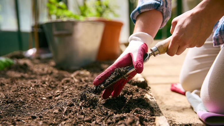 person working in greenhouse soil