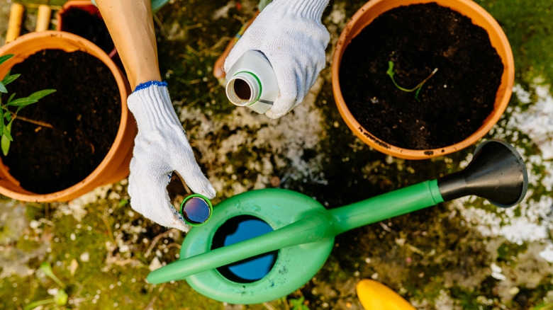 gardener mixing liquids