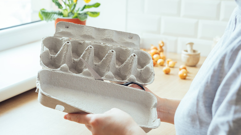 A person cutting the lid from an open paper egg carton