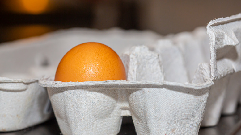 A paper egg carton containing a single brown egg