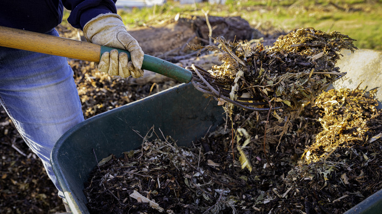 Person shoveling organic mulch