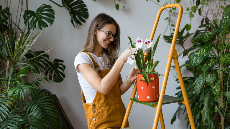 Woman tending to orchids 