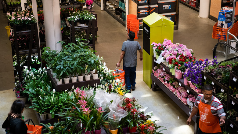 Plant section at Home Depot