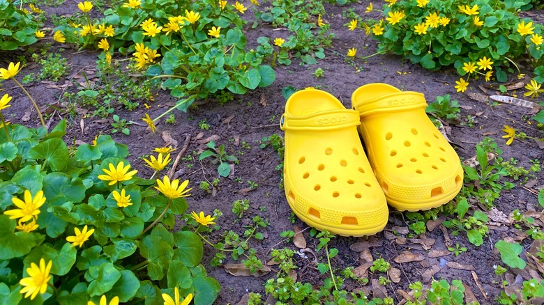 yellow Crocs in grassy area