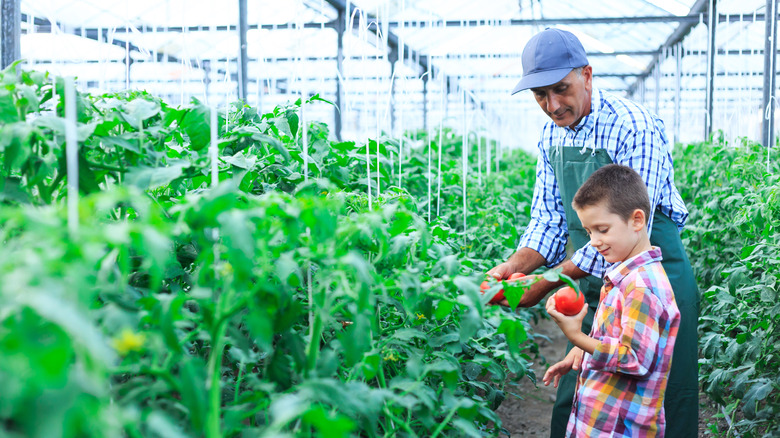 man and child in greenhouse