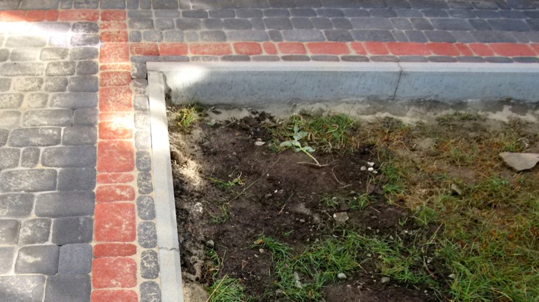 paver walkway with red border and concrete edging