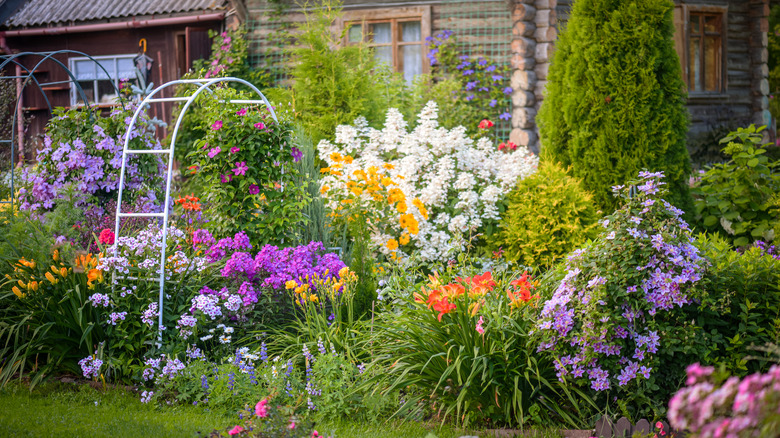 ornamental garden with many flowers