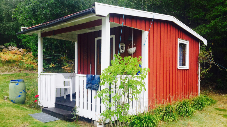 She shed in backyard