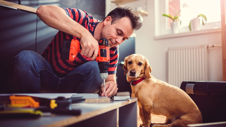 Man installing cabinets with dog