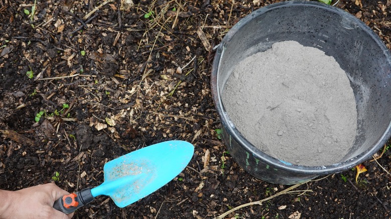 person holding shovel with wood ash in garden