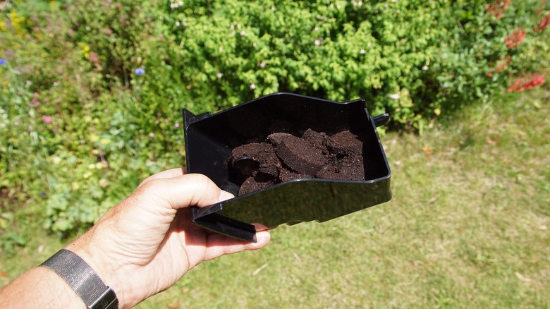 Holding coffee grounds in garden