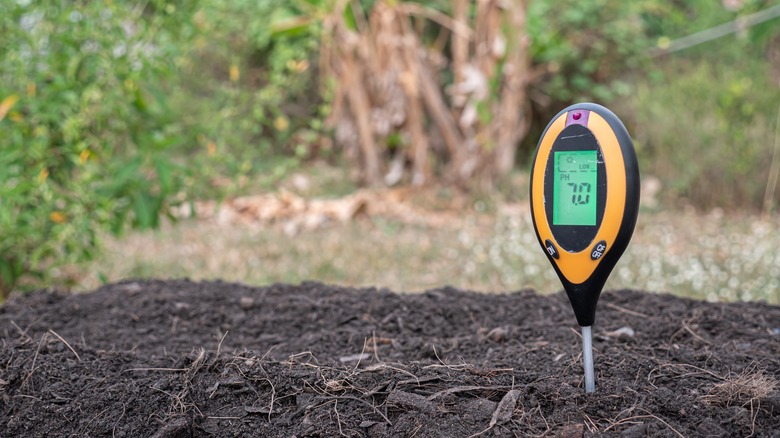 Soil pH meter