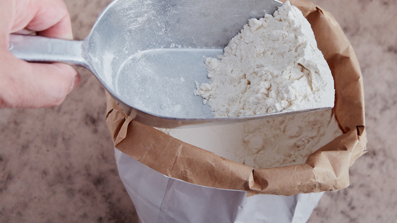 Hand and metal scoop scooping cornstarch from a folded paper bag