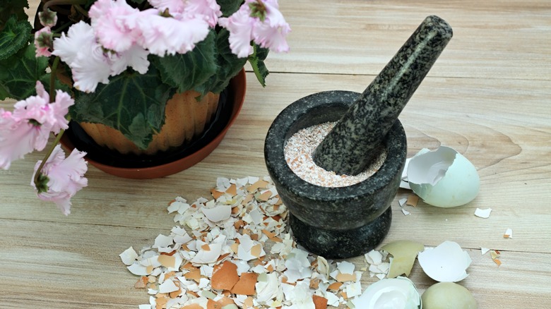 mortar and pestle grinding eggshells