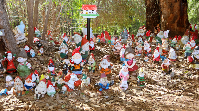 Dozens of gnomes stand in field