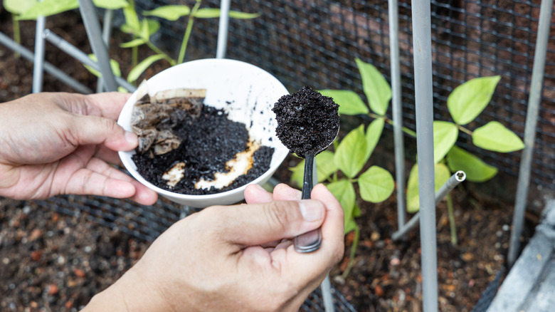 spoonful of coffee grounds in garden