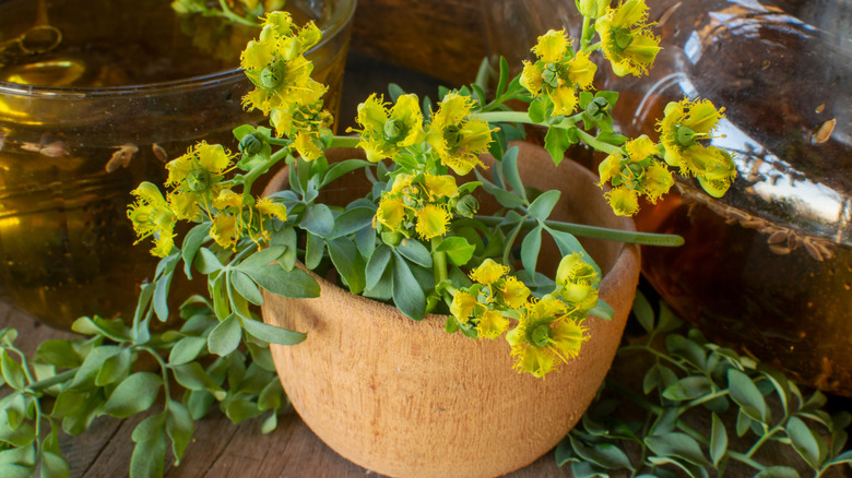 Rue leaves flowers in bowl